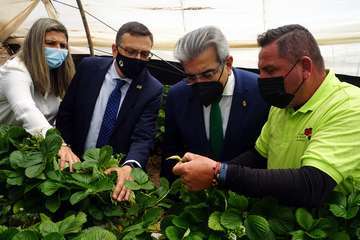 El vicepresidente del Gobierno de Canarias visita el municipio de Valsequillo/Acfi Press.